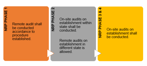 NRP PHASES